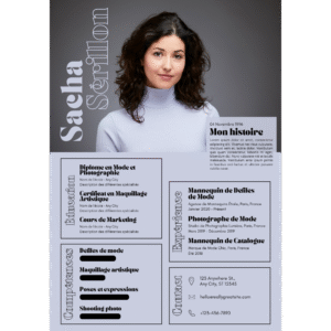 Professional Resume FX