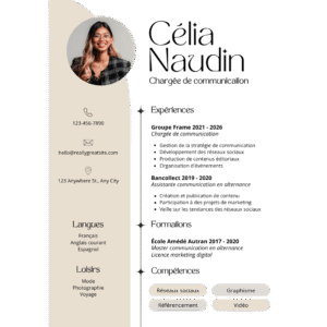 Professional CV  Template FE