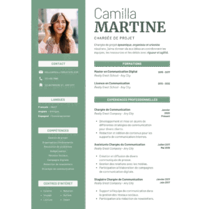 Professional CV  Template FE